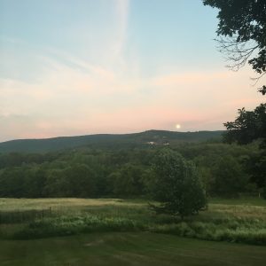 View of Bunny Road Leading to the Lin and Coffin, 2016. Courtesy of the Author 