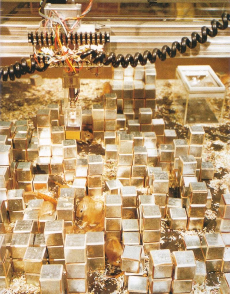 Nicholas Negroponte with Architecture Group Machine M.I.T., SEEK. Originally shown at the exhibition "Software,” curated by Jack Burnham for the Jewish Museum in New York, 1970.